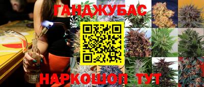 mdpv Можга