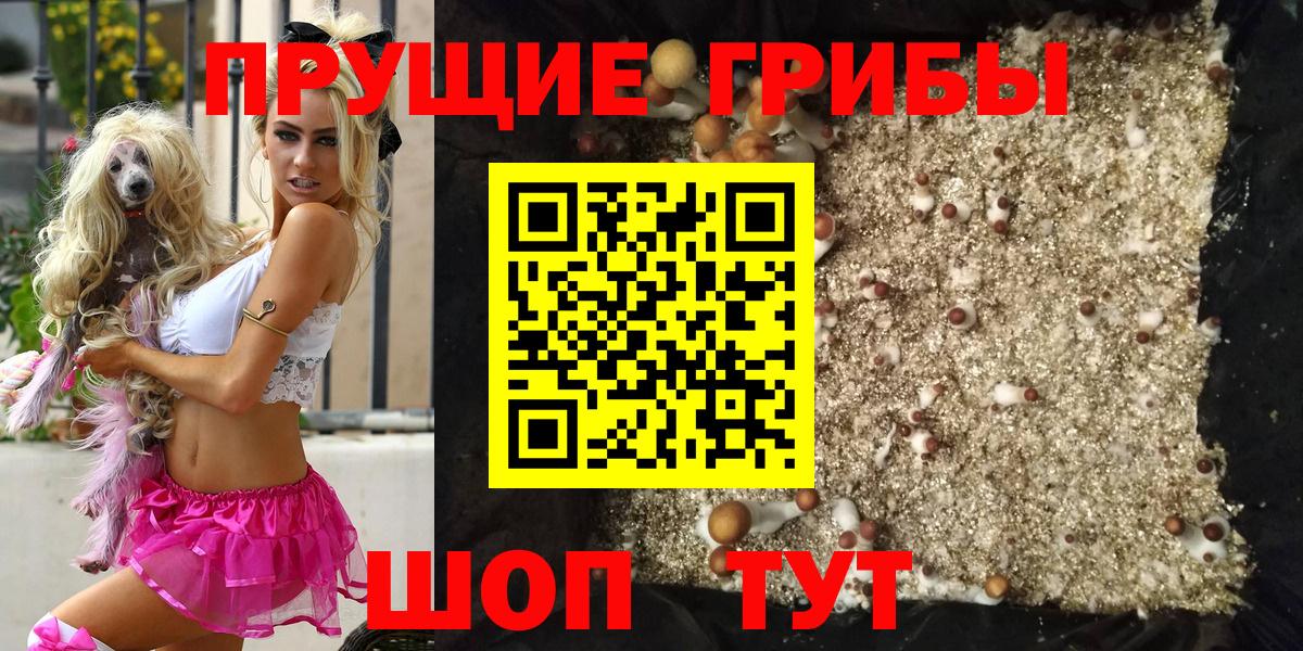 закладка  Галлюциногенные грибы Cubensis  Вход с VPN  Великий Новгород 